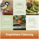 Collage: Meise an Samen, Rotkehlchen am Vogelbad, Person beim Reinigen; Überschrift 'Empfohlene Fütterung' und Fütterungstipps.