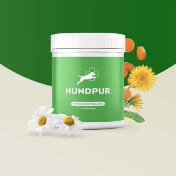 Grüner Behälter von HundPur "Verdauungs Glück" Hundenahrungsergänzung mit einem weißen Deckel, umgeben von Blumen und orangen Tabletten.