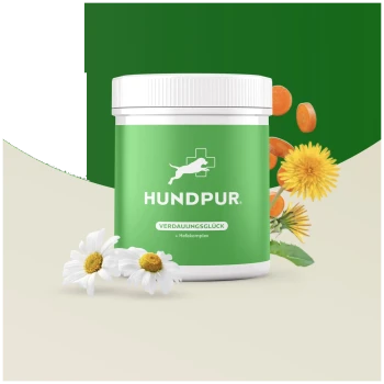 Grüner Behälter von HundPur "Verdauungs Glück" Hundenahrungsergänzung mit einem weißen Deckel, umgeben von Blumen und orangen Tabletten.