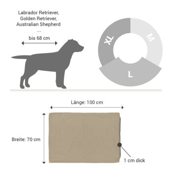 Größentabelle für Hundebetten mit den Abmessungen: 100 cm Länge, 70 cm Breite, 1 cm Dicke; geeignet für Rassen wie Labrador und Golden Retriever.