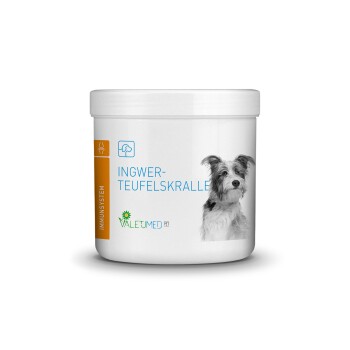 Ingwer-Teufelskralle 2x 200 g