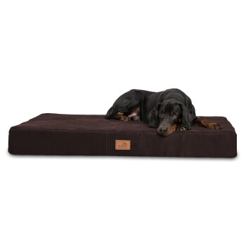 ® STUART ORTHO PLUS - Orthopädische Hundematte braun 1,5 m, 13 cm, 1 m