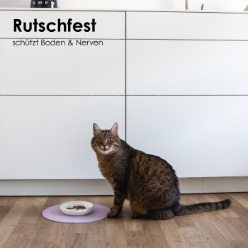 Eine getigerte Katze sitzt neben einer weißen Futterschüssel auf einer lila Matte, mit modernen weißen Schränken im Hintergrund. Text: "Rutschfest schützt Boden & Nerven."