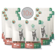 Zehn Packungen Fellicita Felines Sticks für Katzen, mit einer grauen Katze auf der Vorderseite, beschriftet mit "Huhn & Lachs Chicken & Salmon."