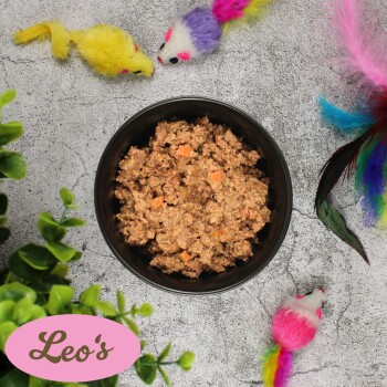 Schüssel mit Haustierfutter mit Fleischstücken und Gemüse, umgeben von bunten Spielzeugmäusen und Federn; beschriftet mit "Leo's" in Pink.