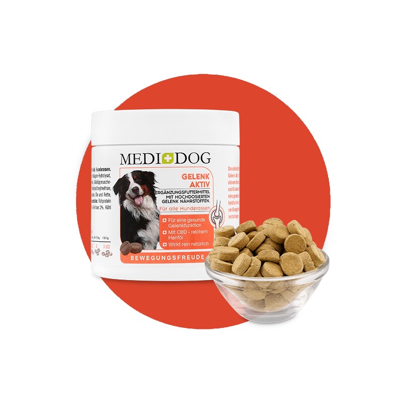 MediDog Gelenk Aktiv Tabletten 120 g