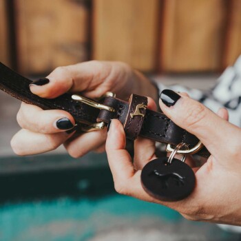 Nahaufnahme von den Händen einer Person, die ein braunes Lederhundehalsband mit einer goldenen Schnalle und einem runden schwarzen Anhänger mit einer Katzensilhouette anpasst.