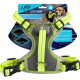 Neon-gelb-graues afp-Leuchtgeschirr für Hunde mit mittiger LED, D-Ring und Schnallen; auf der Verpackung steht 'Light Up Harness' und 'M'.