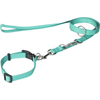 collar + leash green S