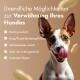 Hund auf einem beigen Hintergrund mit Text, der Möglichkeiten auflistet, ihn zu verwöhnen: Trainingsleckerlis, Kong-Füllung, Kausnacks, Mischfutter und Leckmattenauflage.