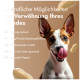 Hund auf einem beigen Hintergrund mit Text, der Möglichkeiten auflistet, ihn zu verwöhnen: Trainingsleckerlis, Kong-Füllung, Kausnacks, Mischfutter und Leckmattenauflage.