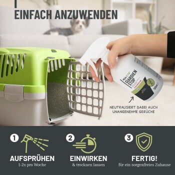 Hand sprüht Beaphar Guardian Stop Geruchsneutralisator in eine grüne Transportbox, im Hintergrund ein Hund.