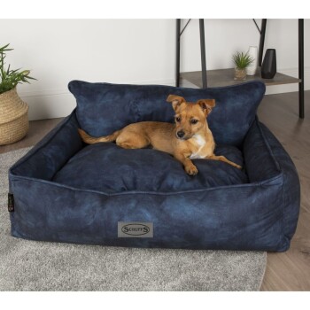 Scruffs & Tramps Hundebett blau M