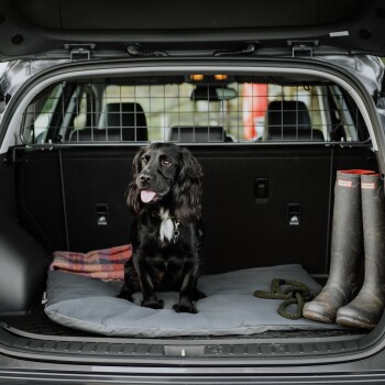 Ein schwarzer Hund sitzt auf einem grauen Haustierbett im hinteren Teil eines Autos, mit einer karierten Decke und Gummistiefeln in der Nähe.