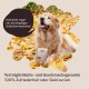Ein Golden Retriever sitzt auf Herbstblättern mit "HUNDEHAPPEN" Leckerlis und lächelt. Textblase: "Lecker sogar für wählerische Esser!"