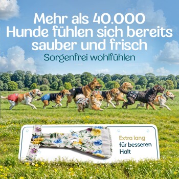 Bunte historische Gebäude in einer Kopfsteinpflasterstraße mit Außenbestuhlung. Text: "Unternehmen aus Norddeutschland" und "über 10.000 zufriedene Kunden."