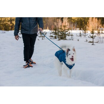 Eine Person in Schneeschuhen führt einen glücklichen, weißen Hund in einer blauen Jacke in einer verschneiten Landschaft mit Bäumen im Hintergrund.