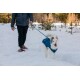 Eine Person in Schneeschuhen führt einen glücklichen, weißen Hund in einer blauen Jacke in einer verschneiten Landschaft mit Bäumen im Hintergrund.