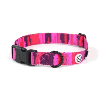 Bunter rosa und lila Hundehalsband mit einer schwarzen Schnalle und einem metallenen D-Ring, mit einem kleinen Logoanhänger.