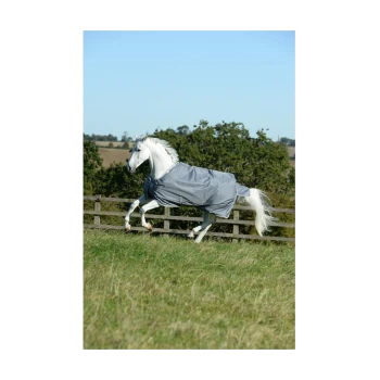 Ein weißes Pferd, das mit einer grauen Decke über ein grasbewachsenes Feld galoppiert, mit einem Holzzaun im Hintergrund unter einem klaren blauen Himmel.