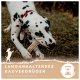Dalmatinerhund kaut draußen auf einem Knochen mit deutschem Text über langanhaltenden Kaugenuss.