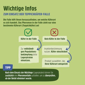 Grüne Grafik auf Teppichkäferfallen, die Aktionen basierend auf Ergebnissen mit Häkchen und Kreuzen zeigt, plus Tipps zur Schädlingsbekämpfung.
