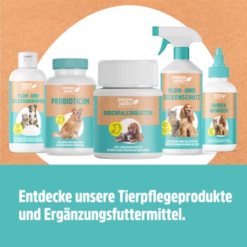 hundefutter online shops Taste of the Wild Wetlands Canine Formula - Hundefutter - PetDoctors -  Online-Shop — PetDoctors main image 1