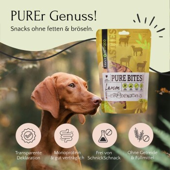 Ein brauner Hund mit schlappen Ohren schaut auf eine Tüte "Pure Bites" Lamm-Snacks, die Texte über Transparenz, einzelnes Protein und getreidefrei enthält.