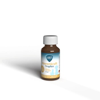 Flasche 'Nierenkraft Tropfen' für Haustiere, mit einem weißen Deckel und einem Etikett mit blauen und orangefarbenen Akzenten.