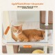 Zwei Katzen ruhen auf einem großen oberen Sitzplatz und einer Hängematte eines Kratzbaums mit Maßen in cm und Zoll.