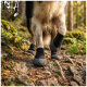 Nahaufnahme der schlammigen Unterbeine eines Hundes, der schwarze-graue Schutzstiefel trägt und auf einem felsigen Waldpfad läuft.