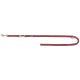 Eine kastanienbraune Hundeleine mit einem Metallclip und einem Schlaufenhandgriff, mit einem kleinen Etikett mit dem Markennamen.
