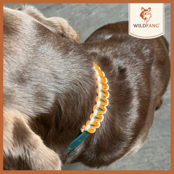 Nahaufnahme des Halses eines braunen Hundes mit einem bunten Halsband mit orange-weißer geflochtener Gestaltung, markiert mit 'WILDFANG.'