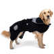 Golden Retriever trägt einen schwarzen Kapuzenmantel mit weißem geometrischem Besatz und Tasche, Seitenansicht vor weißem Hintergrund.
