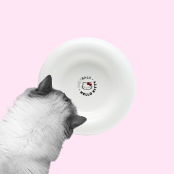 LucyBalu DROP Katzennapf – Hello Kitty Edition weiß LucyBalu DROP Katzennapf – Hello Kitty Edition weiß