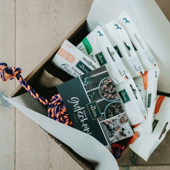 Eine Geschenkbox von einem Online-Haustiergeschäft, die verschiedene Haustierprodukte enthält, darunter Leckerlis und ein buntes Seilspielzeug, mit einem Gutschein, der 'Gutschein' beschriftet ist.