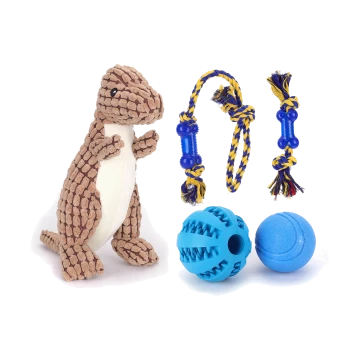 Ein plüschiger Dinosaurier-Spielzeug steht neben zwei blauen Gummibällen und einem geflochtenen Seilspielzeug mit gelben und blauen Akzenten.