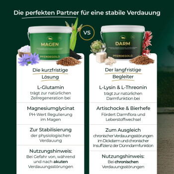 Grüner Eimer 'PFERDEGOLD' mit der Aufschrift 'Verdauungs Glück', mit Leinsamen, Apfel, Radieschen und Symbolen für Garantie, Geschmack und Ergebnisse.