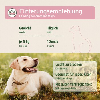 Glücklicher Labrador auf Gras mit einem Fütterungsdiagramm darüber, das Gewicht, Snacks und Merkmale beschreibt: leicht zu brechen, geeignet für alle Altersgruppen, hohe Akzeptanz.