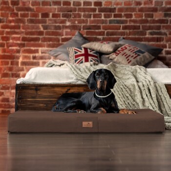 Ein schwarzer Dobermann ruht auf einem braunen Hundebett in einem gemütlichen Raum mit einer Ziegelwand, dekorativen Kissen und einer gestrickten Decke.