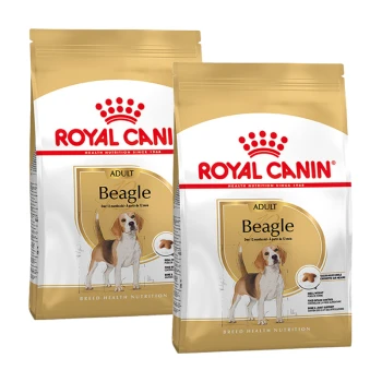 Zwei Tüten Royal Canin Beagle Hundefutter, gekennzeichnet mit "Adult," mit einem Bild eines Beagles auf der Vorderseite.