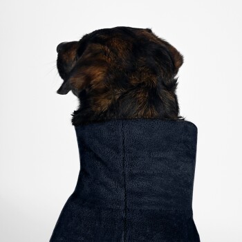 Ein brauner und schwarzer Hund, der ein dunkelblaues Handtuch trägt, schaut von der Kamera weg vor einem weißen Hintergrund.