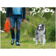Eine Person, die einen glücklichen, flauschigen Border Collie an einer leuchtend orangefarbenen Leine in einer grünen Umgebung führt.