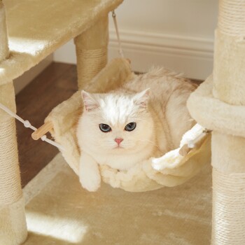 Eine flauschige weiße Katze mit auffälligen blauen Augen entspannt sich in einer gemütlichen beigen Hängematte, die an einem Kratzbaum befestigt ist.