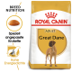 Royal Canin Adult Great Dane Hundefutterbeutel mit einer Great Dane Silhouette, Kibble-Bild und Text zur rassespezifischen Ernährung.