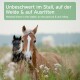 Nahaufnahme eines braunen Pferdes mit einem weißen Streifen auf einer Wiese, ein weiteres Pferd im Hintergrund. Text: "Entspannte Zeiten im Stall & auf der Weide."