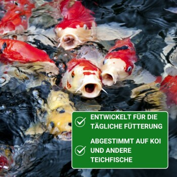 Bunte Koi-Fische schwimmen im Wasser mit einem grünen Etikett: "Entwickelt für die tägliche Fütterung" und "Abgestimmt auf Koi."