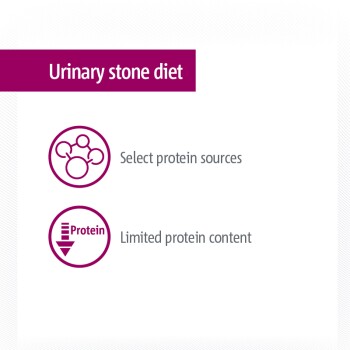 Urinary stone diet with icons indicating "Select protein sources" and "Limited protein content."
