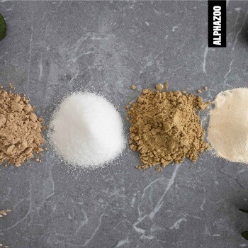 Vier verschiedene Arten von Haustierergänzungspulvern, die auf einer grauen Oberfläche angeordnet sind, beschriftet mit 'ALPHAZOO' in der oberen rechten Ecke.