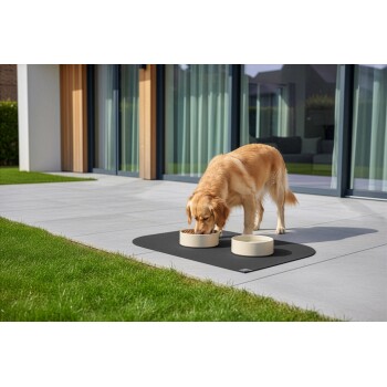 Golden Retriever frisst aus einer beigen Schüssel auf einer schwarzen Matte vor einem modernen Haus mit Glastüren.